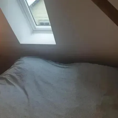 Maison Spacieuse A Avec Jardin * Sainte-Croix-en-Plaine